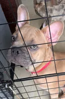 processed/3dfbab96-c9bc-4f55-afcd-016ed3ac98f6/listing/8f563da0-73d9-48ff-bd27-af6568230939/78bc10db-aac6-4a05-9bf7-1eda58d15739