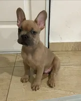 processed/3dfbab96-c9bc-4f55-afcd-016ed3ac98f6/listing/8f563da0-73d9-48ff-bd27-af6568230939/db4cf9f1-4269-4502-a94b-9b7a1bbd9540