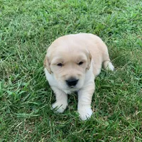 processed/3dfbe207-29ba-4de4-ba02-1c251a116c82/facility/6a793d47-4e34-4d97-bd40-7fa2e8c4b8c6