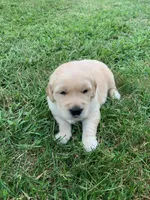 processed/3dfbe207-29ba-4de4-ba02-1c251a116c82/facility/6a793d47-4e34-4d97-bd40-7fa2e8c4b8c6