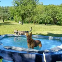 processed/3dfbf35c-3296-4c39-8cc1-e17ed13c0b76/facility/15f4d861-3840-4798-8d03-d068d37a7552