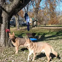 processed/3dfbf35c-3296-4c39-8cc1-e17ed13c0b76/facility/71ab38e4-2b4e-4082-9bb4-440fe997d2bb