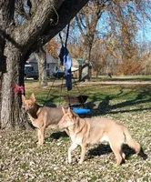 processed/3dfbf35c-3296-4c39-8cc1-e17ed13c0b76/facility/71ab38e4-2b4e-4082-9bb4-440fe997d2bb