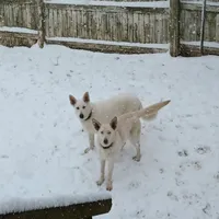 processed/3dfbf35c-3296-4c39-8cc1-e17ed13c0b76/facility/797091b0-dad6-4e2a-ac77-53cc009248a9