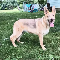 processed/3dfbf35c-3296-4c39-8cc1-e17ed13c0b76/facility/8a530532-f59e-4171-88d0-fd78649ddc3a