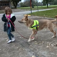 processed/3dfbf35c-3296-4c39-8cc1-e17ed13c0b76/facility/8cd920a4-0e7c-4872-adf7-fee55d3decbb