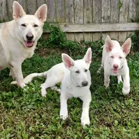 processed/3dfbf35c-3296-4c39-8cc1-e17ed13c0b76/facility/94e790f4-acb2-4f34-821c-452e5ee8f445