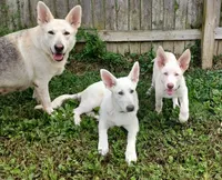 processed/3dfbf35c-3296-4c39-8cc1-e17ed13c0b76/facility/94e790f4-acb2-4f34-821c-452e5ee8f445