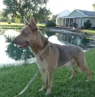 processed/3dfbf35c-3296-4c39-8cc1-e17ed13c0b76/facility/abc772f3-5a9b-4c53-a25c-8eb0654d9dac