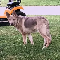 processed/3dfbf35c-3296-4c39-8cc1-e17ed13c0b76/facility/da81a72b-7893-41a8-bc77-7607c550ffa0