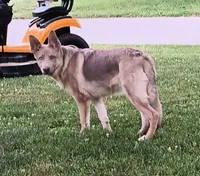 processed/3dfbf35c-3296-4c39-8cc1-e17ed13c0b76/facility/da81a72b-7893-41a8-bc77-7607c550ffa0