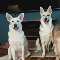 processed/3dfbf35c-3296-4c39-8cc1-e17ed13c0b76/facility/e969216a-ef94-40b8-aab3-3c6284c14120