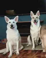 processed/3dfbf35c-3296-4c39-8cc1-e17ed13c0b76/facility/e969216a-ef94-40b8-aab3-3c6284c14120