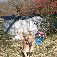 processed/3dfbf35c-3296-4c39-8cc1-e17ed13c0b76/facility/f78a0f3a-bf41-4832-b125-d782c22c4524