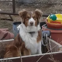 processed/3e0dc0f5-7e29-4f5e-b1ab-d8d7598320de/facility/14936054-a6e6-4e99-a250-4590fd4998a1