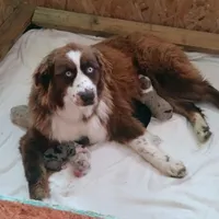 processed/3e0dc0f5-7e29-4f5e-b1ab-d8d7598320de/facility/2029aec6-9685-4673-9164-92df3d81e2f1