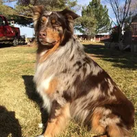 processed/3e0dc0f5-7e29-4f5e-b1ab-d8d7598320de/facility/4ad863d6-c065-45c0-859b-4b3850535c8d