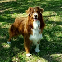 processed/3e0dc0f5-7e29-4f5e-b1ab-d8d7598320de/facility/4ec36989-2346-41ce-9e6b-0e6d189f35c5