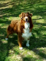 processed/3e0dc0f5-7e29-4f5e-b1ab-d8d7598320de/facility/4ec36989-2346-41ce-9e6b-0e6d189f35c5