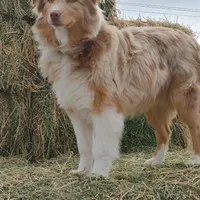 processed/3e0dc0f5-7e29-4f5e-b1ab-d8d7598320de/facility/6af42a9a-994d-4350-b10c-eecbbf655251