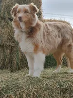 processed/3e0dc0f5-7e29-4f5e-b1ab-d8d7598320de/facility/6af42a9a-994d-4350-b10c-eecbbf655251