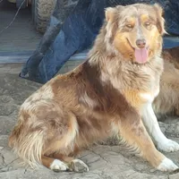 processed/3e0dc0f5-7e29-4f5e-b1ab-d8d7598320de/facility/78a41642-799d-41f8-b55c-aace3aceb04e