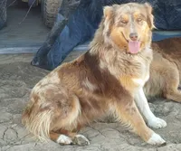 processed/3e0dc0f5-7e29-4f5e-b1ab-d8d7598320de/facility/78a41642-799d-41f8-b55c-aace3aceb04e