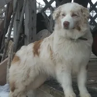 processed/3e0dc0f5-7e29-4f5e-b1ab-d8d7598320de/facility/7b893517-449e-480c-9a13-44944ac2ac86