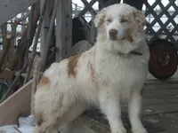 processed/3e0dc0f5-7e29-4f5e-b1ab-d8d7598320de/facility/7b893517-449e-480c-9a13-44944ac2ac86