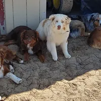 processed/3e0dc0f5-7e29-4f5e-b1ab-d8d7598320de/facility/81f48e36-6b06-4cfd-a7e9-b789f7ae08c8