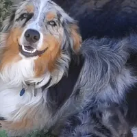 processed/3e0dc0f5-7e29-4f5e-b1ab-d8d7598320de/facility/8de82c58-20d1-484f-b937-2724b2ab2352