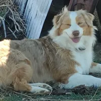 processed/3e0dc0f5-7e29-4f5e-b1ab-d8d7598320de/facility/9b40202f-84af-481f-8080-11c1aeaec7d0