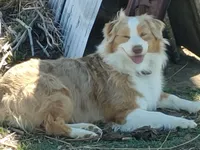 processed/3e0dc0f5-7e29-4f5e-b1ab-d8d7598320de/facility/9b40202f-84af-481f-8080-11c1aeaec7d0