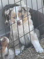 processed/3e0dc0f5-7e29-4f5e-b1ab-d8d7598320de/listing/782d80b6-2ee0-458c-827c-d1f5fc0778f5/07eb1944-a465-4860-9a10-49df7bfff1ae