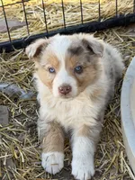 processed/3e0dc0f5-7e29-4f5e-b1ab-d8d7598320de/listing/782d80b6-2ee0-458c-827c-d1f5fc0778f5/20cac7fd-6da1-42a8-b40f-72219a3f4ad6