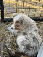 processed/3e0dc0f5-7e29-4f5e-b1ab-d8d7598320de/listing/782d80b6-2ee0-458c-827c-d1f5fc0778f5/275a79ea-f2c7-43af-b0d6-0d2d48d9548d