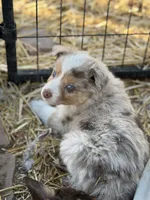 processed/3e0dc0f5-7e29-4f5e-b1ab-d8d7598320de/listing/782d80b6-2ee0-458c-827c-d1f5fc0778f5/acd433ba-7a92-4cc7-91c6-ee4b54d5233a