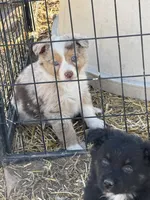 processed/3e0dc0f5-7e29-4f5e-b1ab-d8d7598320de/listing/782d80b6-2ee0-458c-827c-d1f5fc0778f5/b129dbd2-1104-46b9-b063-4f917fee2e9c