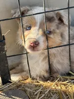 processed/3e0dc0f5-7e29-4f5e-b1ab-d8d7598320de/listing/782d80b6-2ee0-458c-827c-d1f5fc0778f5/c6b6b417-5c2f-4ead-bb7c-a2e16282a4d4