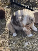 processed/3e0dc0f5-7e29-4f5e-b1ab-d8d7598320de/listing/782d80b6-2ee0-458c-827c-d1f5fc0778f5/fa7f6136-d811-4eed-9ff8-7fd0ecf7e0d4