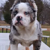 processed/3e0f09a0-3cc6-4085-bf7d-8f9732367f69/facility/6408fcea-5aca-431b-b6ef-58af7aab3f2f