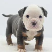 processed/3e0f09a0-3cc6-4085-bf7d-8f9732367f69/listing/4b0fe939-f4e6-4807-b93d-b4f4bb82a384/32821d20-3f07-4961-a3ef-2835f49960d5