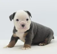 processed/3e0f09a0-3cc6-4085-bf7d-8f9732367f69/listing/4b0fe939-f4e6-4807-b93d-b4f4bb82a384/c4b4c96c-5fac-4f8f-8c93-b2cfde7a9be9