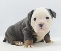 processed/3e0f09a0-3cc6-4085-bf7d-8f9732367f69/listing/4b0fe939-f4e6-4807-b93d-b4f4bb82a384/dd5f2dbd-78a8-43ef-a4e3-7ffc649f69cd