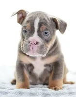 processed/3e0f09a0-3cc6-4085-bf7d-8f9732367f69/listing/55f59cf4-9ddf-4b87-8ceb-6f28513b3301/2ea6bfc7-3591-479f-9f19-37e6e6912d1c