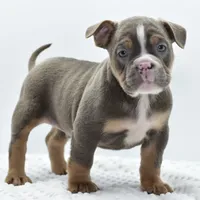 processed/3e0f09a0-3cc6-4085-bf7d-8f9732367f69/listing/55f59cf4-9ddf-4b87-8ceb-6f28513b3301/77d11a78-c6c9-47ae-9478-11b3fc3f4836