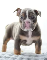 processed/3e0f09a0-3cc6-4085-bf7d-8f9732367f69/listing/55f59cf4-9ddf-4b87-8ceb-6f28513b3301/a073b2b1-4424-480c-964d-865566470a09