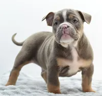 processed/3e0f09a0-3cc6-4085-bf7d-8f9732367f69/listing/55f59cf4-9ddf-4b87-8ceb-6f28513b3301/a27acf0b-0055-40d9-9475-70535eb584db