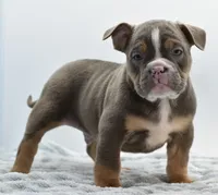 processed/3e0f09a0-3cc6-4085-bf7d-8f9732367f69/listing/55f59cf4-9ddf-4b87-8ceb-6f28513b3301/a53d1d05-11de-40b5-9c05-41ed2af686d6