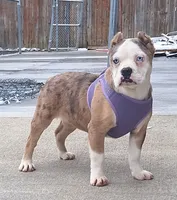 processed/3e0f09a0-3cc6-4085-bf7d-8f9732367f69/listing/7433ca31-8651-41d2-9f81-d83c39f6c691/1b5dd16c-a539-465b-b9ee-ffb2d0161692